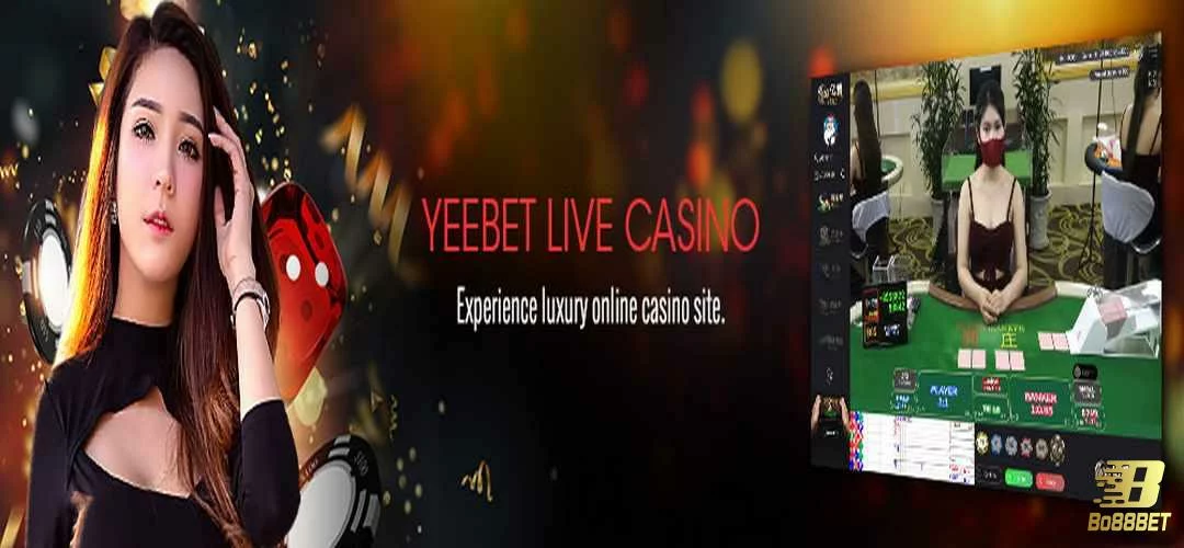 Thông tin sơ lược về Yeebet Live Casino Thông tin sơ lược về Yeebet Live Casino